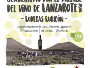 Senderismo, Visita y Degustación de Vinos en Bodegas Rubicón!